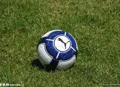 哪些货币构,成了外汇市,星空体育,星空体育平台,星空体育官方网站,星空体育登录入口,星空体育app下载