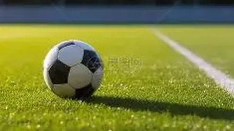 狗狗币：引领宠物经济潮流，创新小费支付趋势（web3官网）