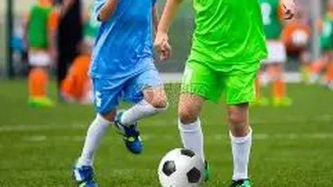 星空体育 产品 104223 nyk