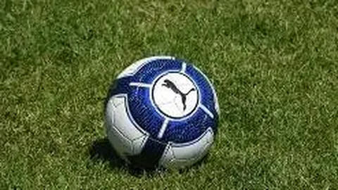 哪些货币构成了外汇市场？