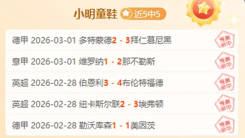 阿尔卡拉斯力克德米纳尔，鹿特丹站ATP决赛2025年圆满落幕